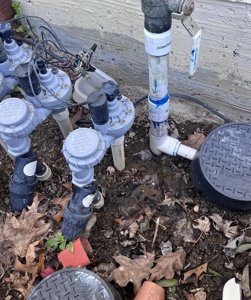 Reliable yard cleanup service experts serving Santa Clara, CA - Farias Landscape