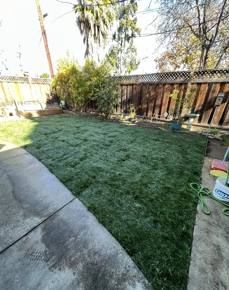 Trusted landscape installation in Santa Clara, CA by Farias Landscape