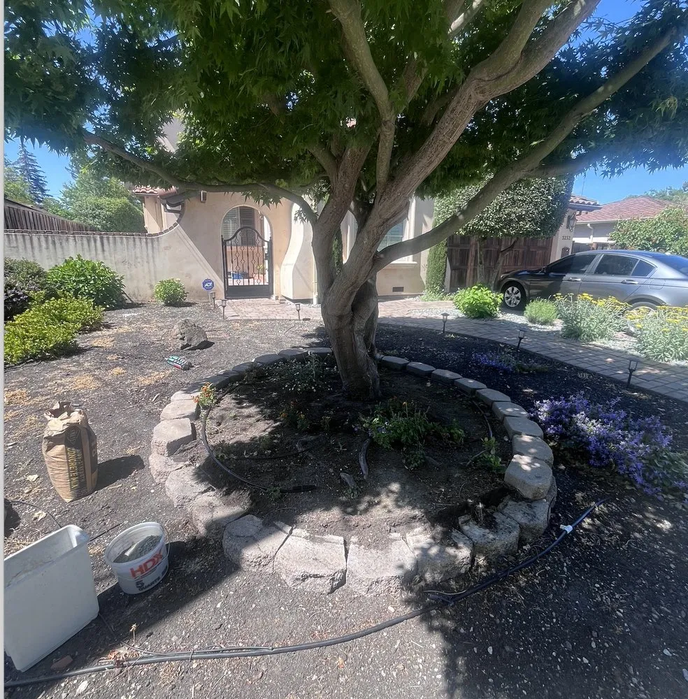 Reliable landscape installation experts serving Santa Clara, CA - Farias Landscape