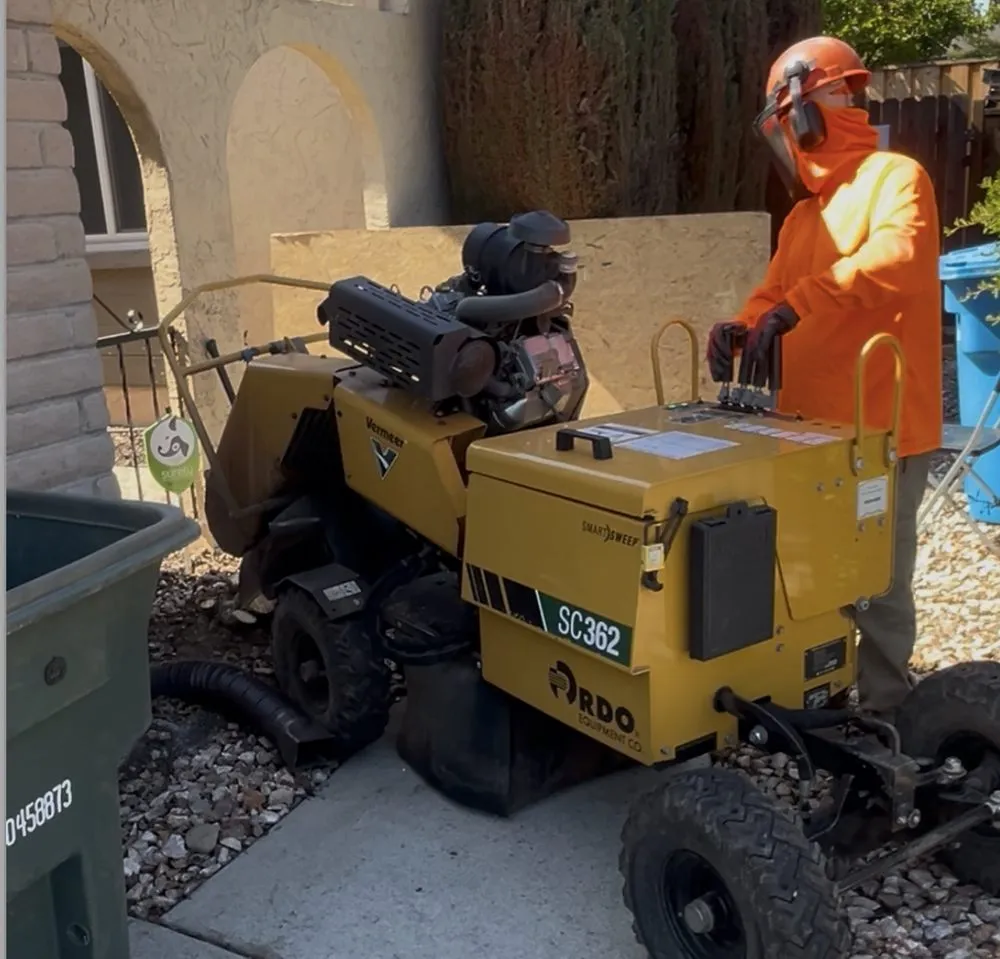 Expert outdoor landscaping in Santa Clara, CA - Farias Landscape