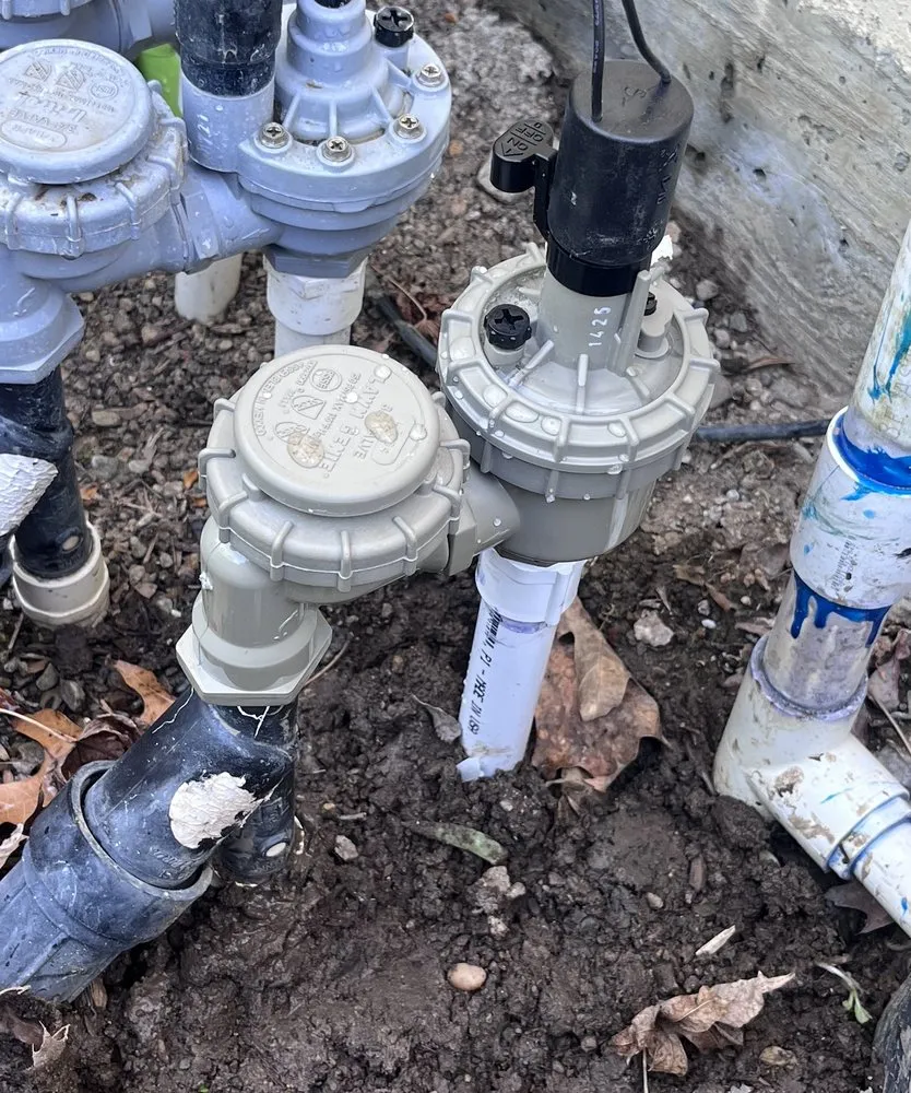 Reliable yard cleanup service for residential properties in Santa Clara, CA by Farias Landscape