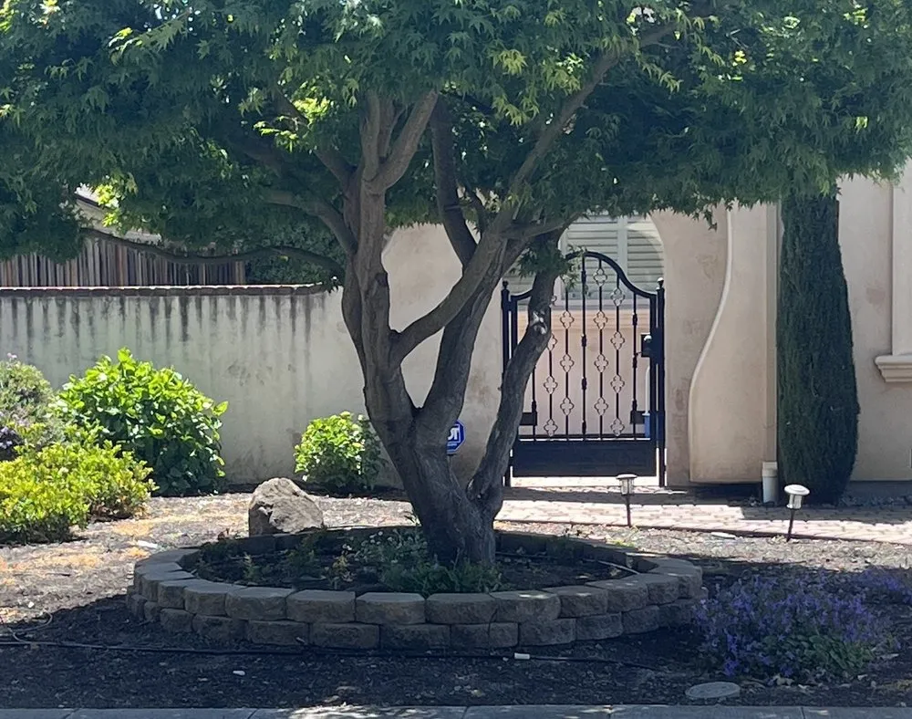 Trusted garden landscaping with custom design in Santa Clara, CA by Farias Landscape