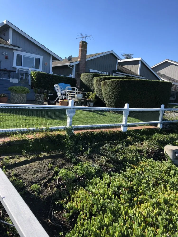 Affordable outdoor landscaping in Petaluma, CA by Farias Landscaping