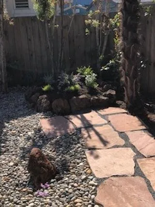 Trusted outdoor landscaping near you in Petaluma, CA by Farias Landscaping