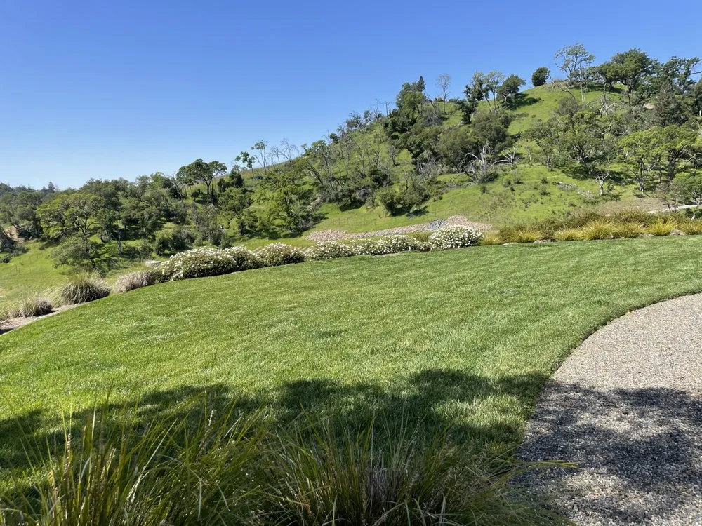 Expert outdoor landscaping for residential properties across Petaluma, CA - Farias Landscaping
