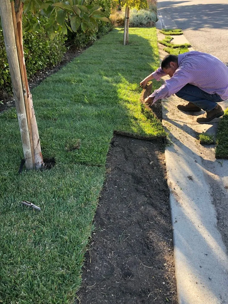 Local outdoor landscaping in Petaluma, CA - Farias Landscaping