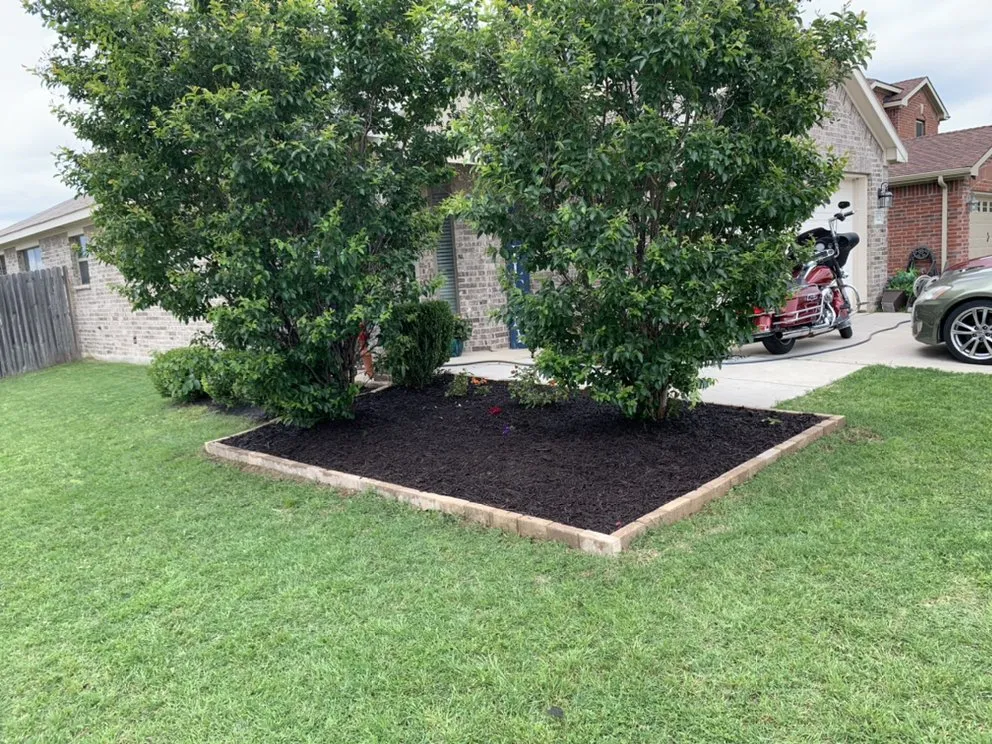 Reliable garden landscaping for outdoor upgrades across Wht Settlemt, TX - Farias Professional Landscaping