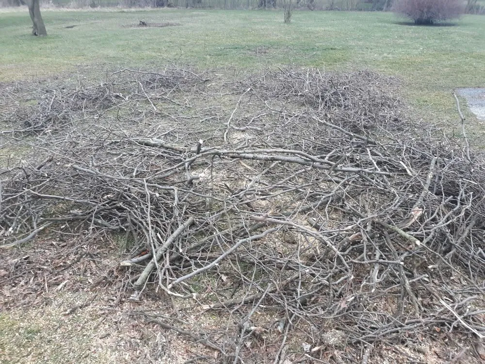 Affordable lawn care service in Fostoria, OH by Farias Tree Service and Landscaping