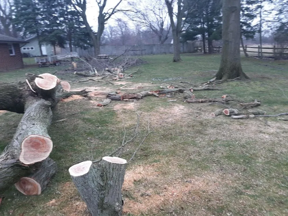 Local lawn care service in Fostoria, OH - Farias Tree Service and Landscaping