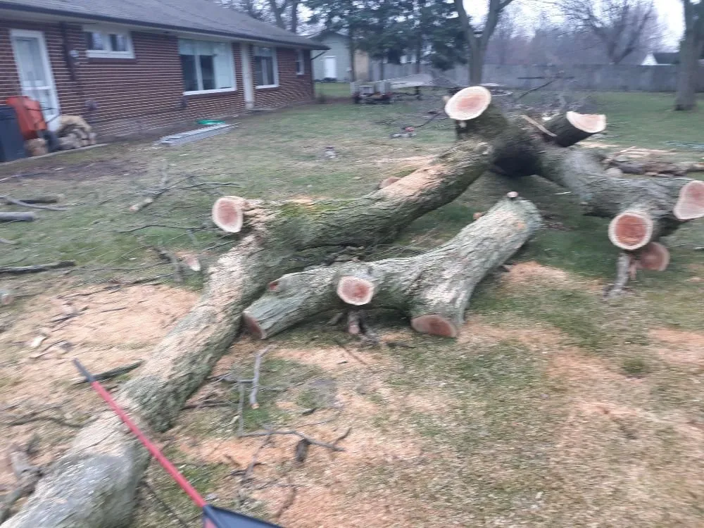 Local residential landscaping in Fostoria, OH by Farias Tree Service and Landscaping