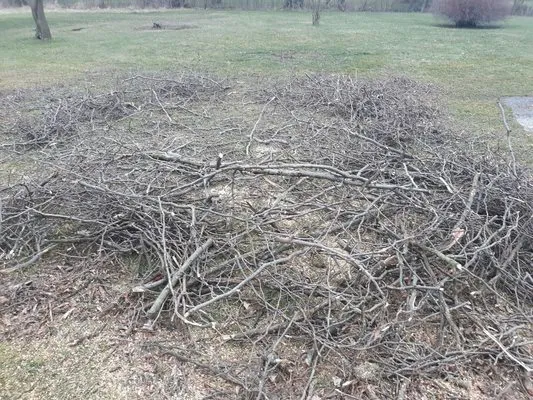 Farias Tree Service and Landscaping