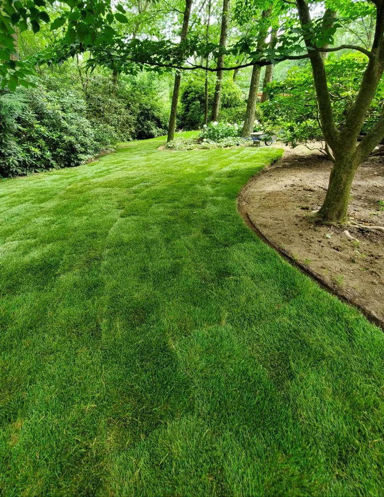 Local yard maintenance in Pittsburgh, PA by Farine Lawn Care