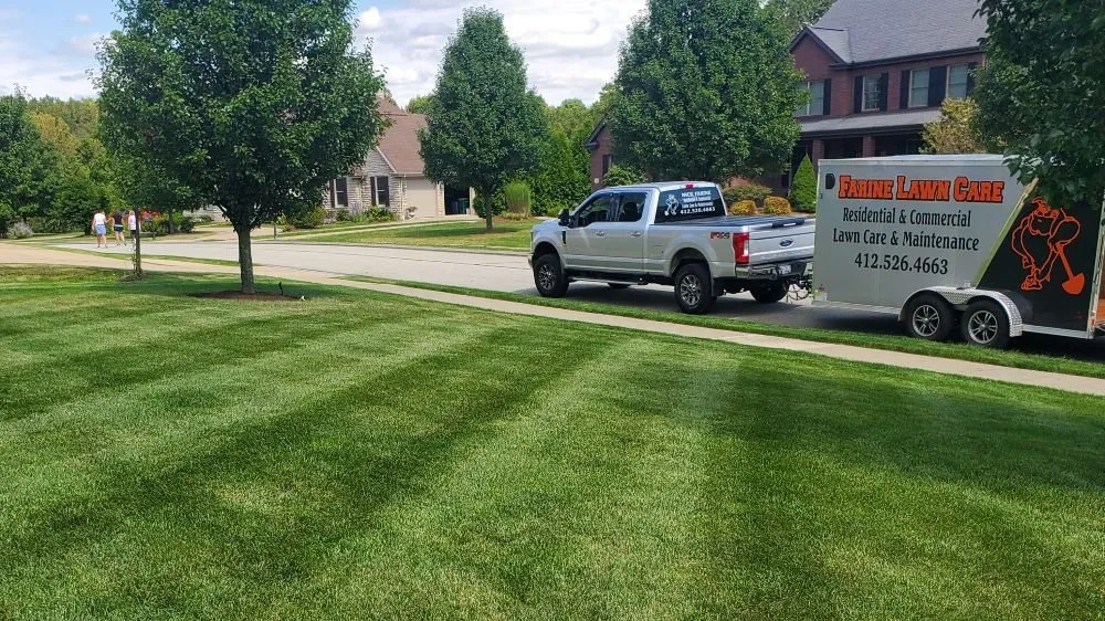 Affordable landscape design in Pittsburgh, PA - Farine Lawn Care