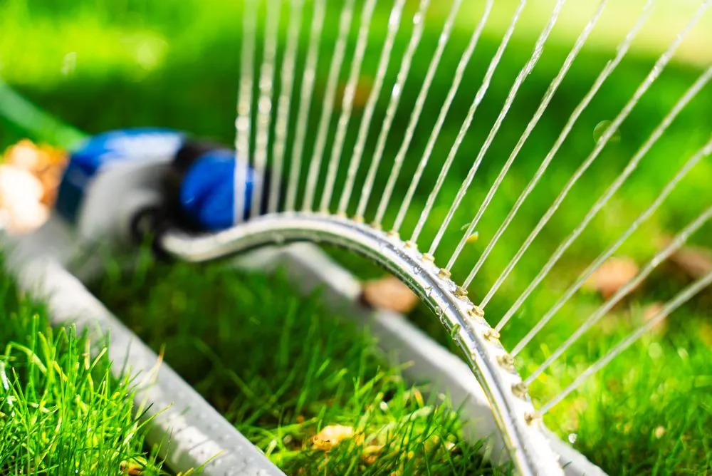 Expert outdoor landscaping experts serving Clarksville, IN - Farison Lawn Care