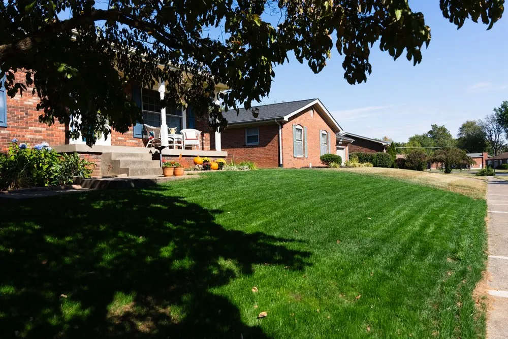 Top-rated lawn care service for outdoor upgrades across Clarksville, IN - Farison Lawn Care