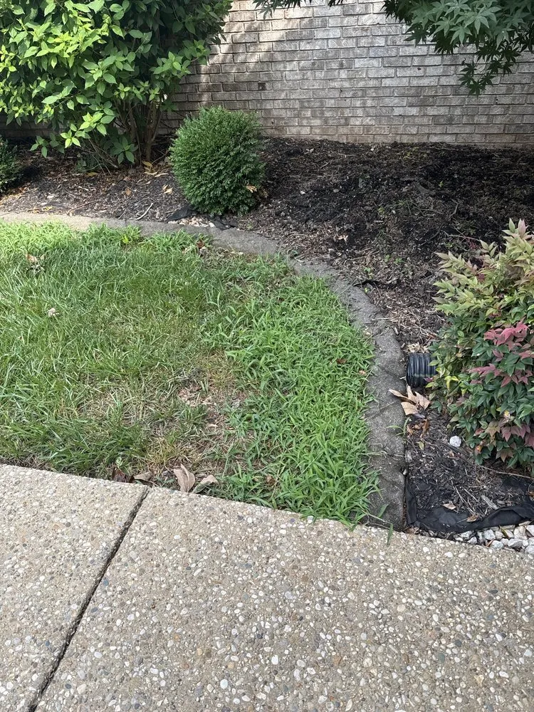 Expert lawn mowing service for residential properties across Louisville, KY - Farison Lawn Care