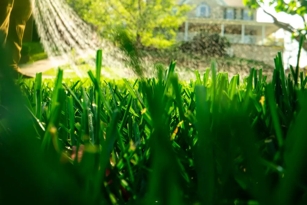 Expert landscape installation in Louisville, KY by Farison Lawn Care