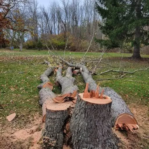 Top-rated lawn care service with custom design in Victor, NY by Farley Forest and Soil