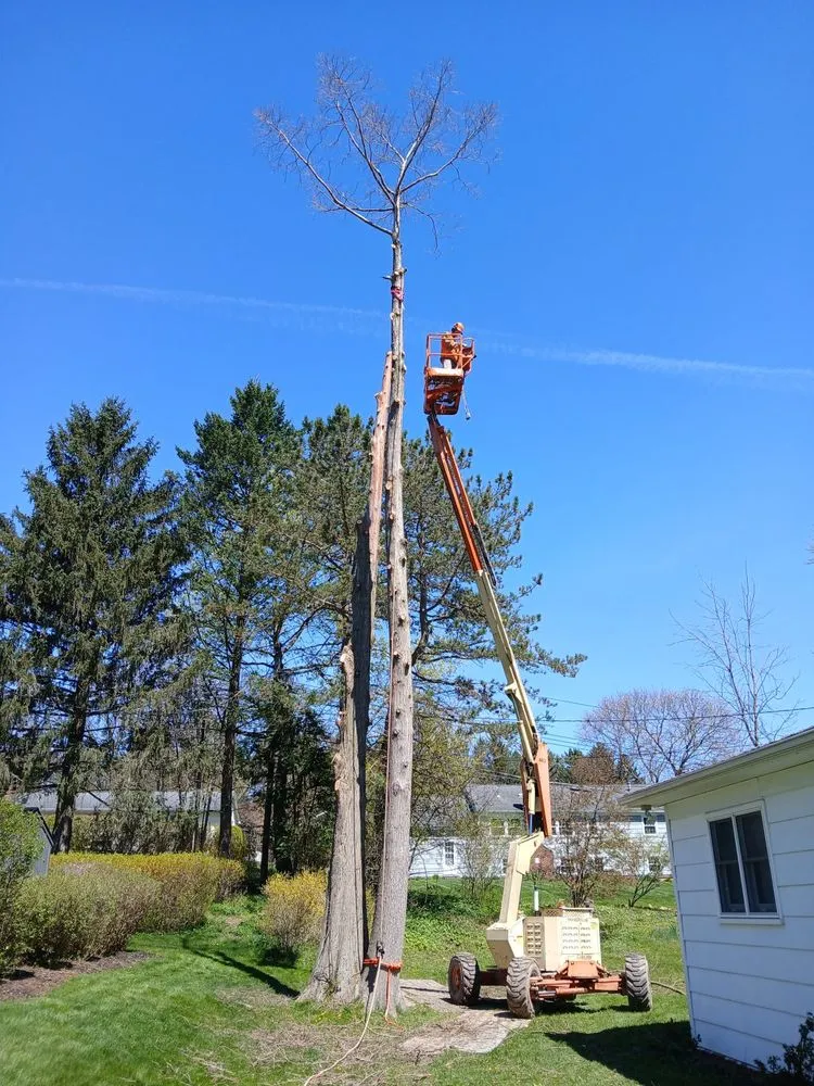 Affordable lawn mowing service in Victor, NY - Farley Forest and Soil