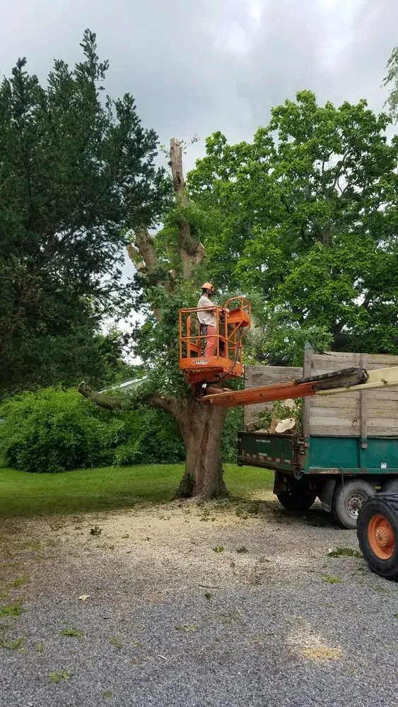 Reliable residential landscaping for outdoor upgrades in Victor, NY by Farley Forest and Soil