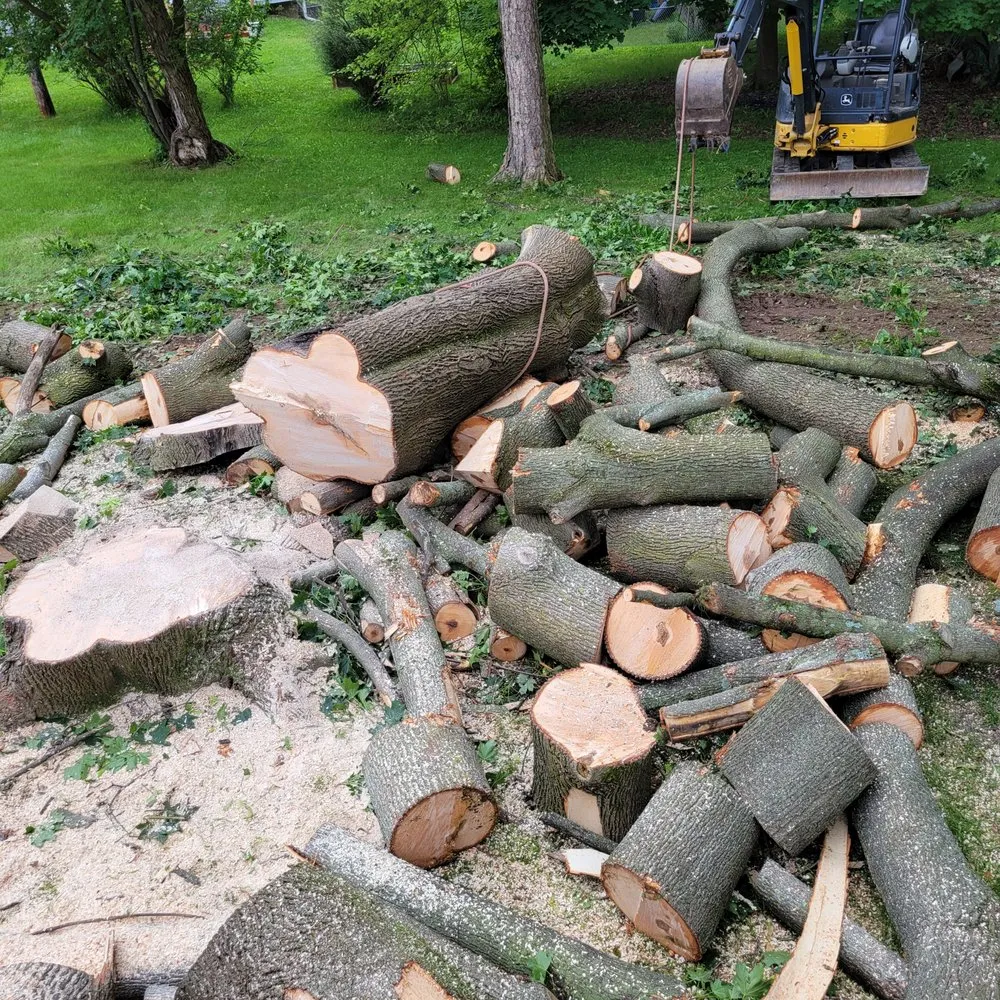 Top-rated residential landscaping for year-round maintenance across Victor, NY - Farley Forest and Soil