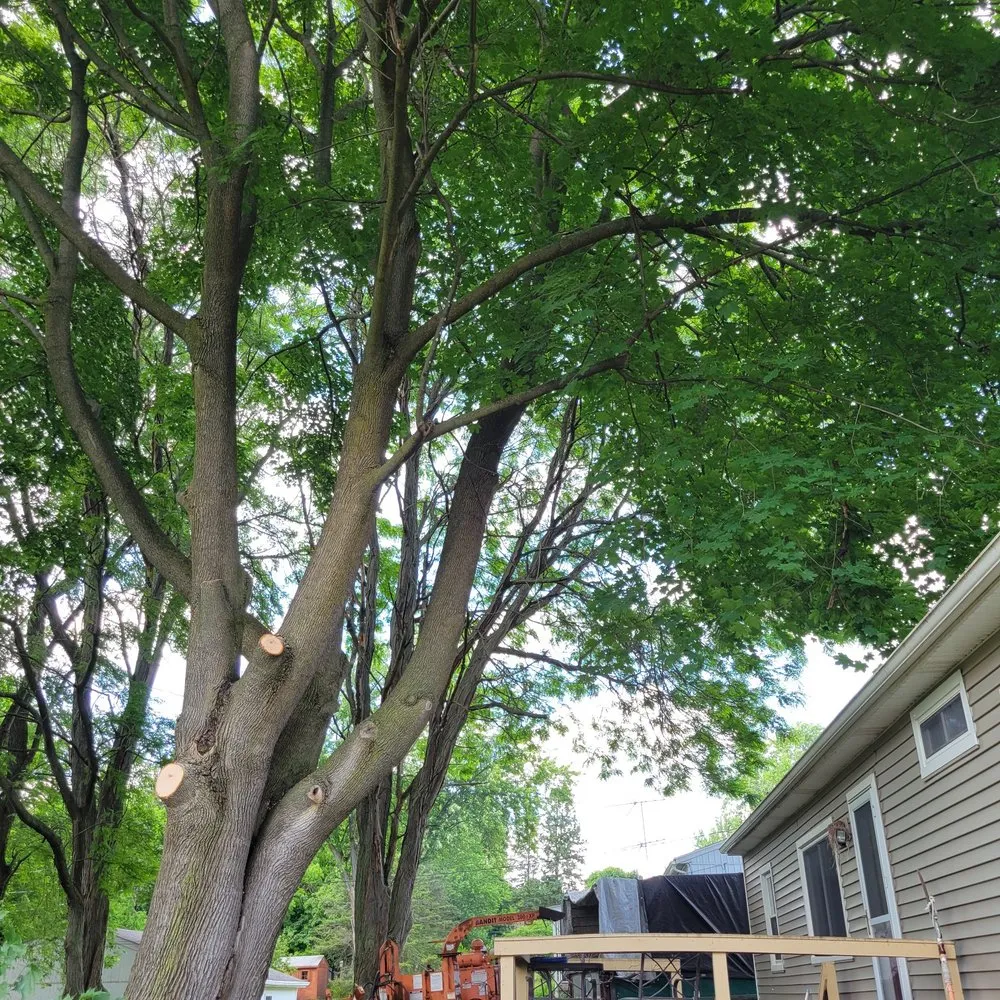 Top-rated landscape design in Victor, NY by Farley Forest and Soil