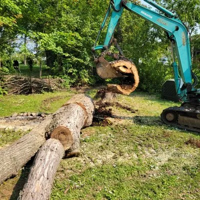 Farley Forest and Soil