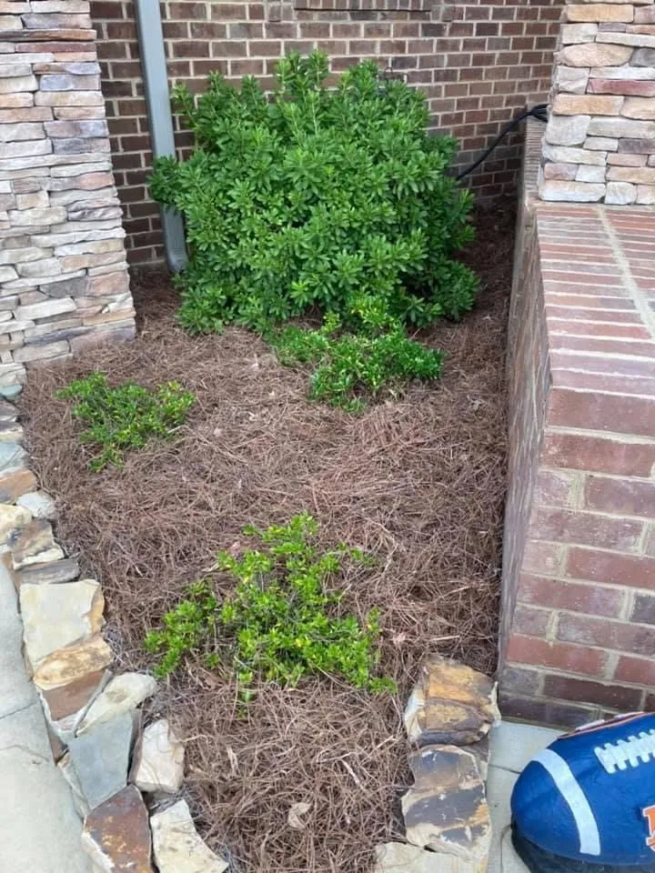 Top-rated yard maintenance near you across Ashville, AL - Farley Pressure and Softwashing