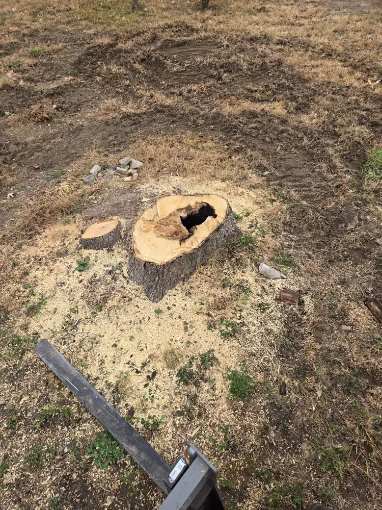 Reliable yard maintenance experts serving Hindsville, AR - Farley's Land Solutions