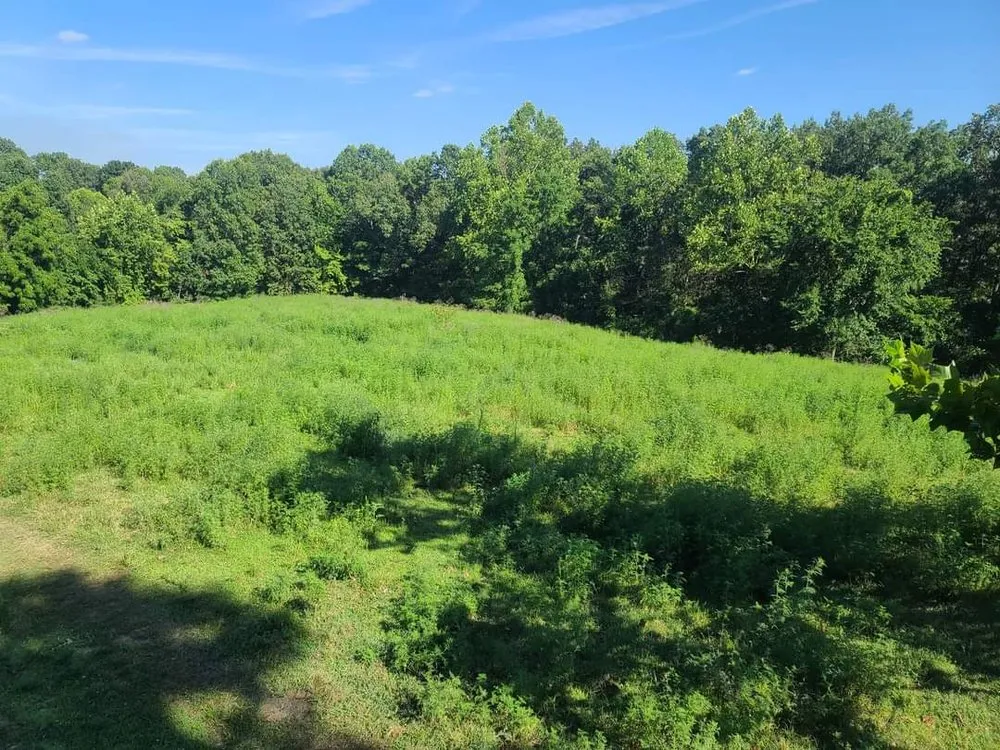 Expert outdoor landscaping in Hindsville, AR by Farley's Land Solutions