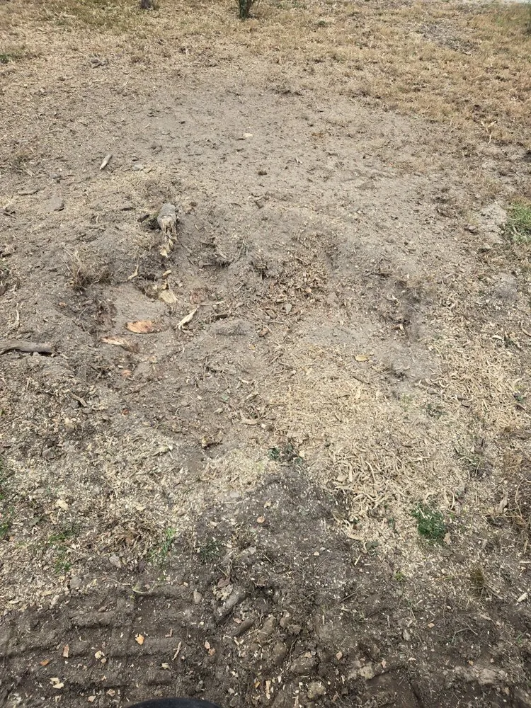Top-rated landscape installation experts serving Hindsville, AR - Farley's Land Solutions