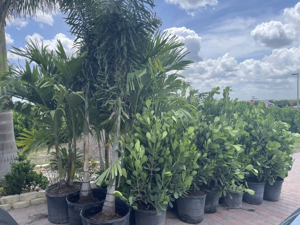 Reliable outdoor landscaping in Miami, FL by Farm Networks LLC