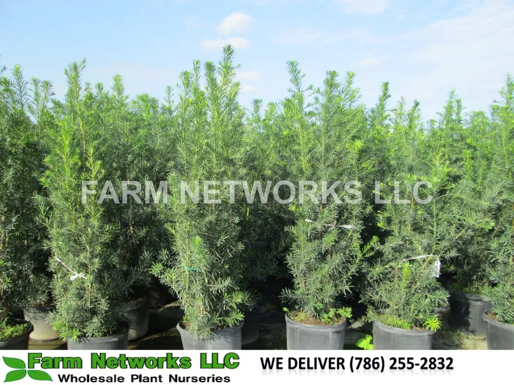 Trusted lawn mowing service in Miami, FL - Farm Networks LLC