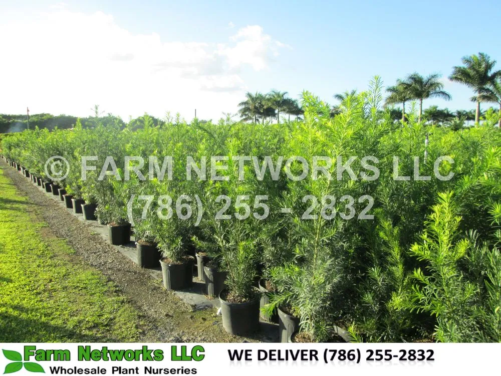 Local lawn mowing service in Miami, FL - Farm Networks LLC