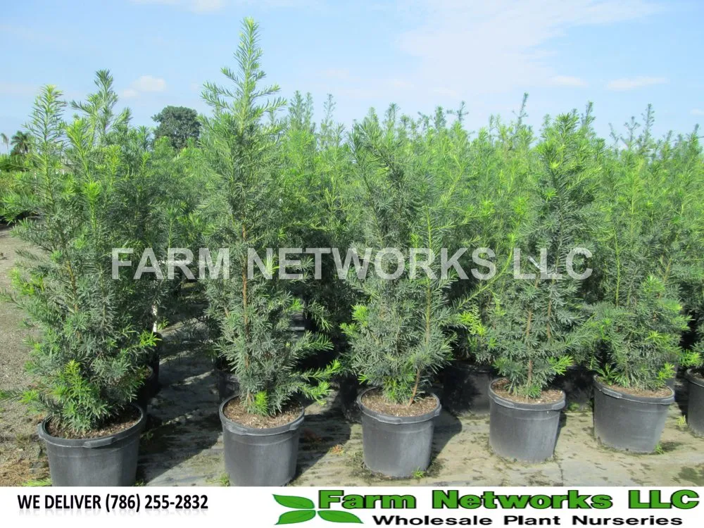 Top-rated yard cleanup service for residential properties across Miami, FL - Farm Networks LLC