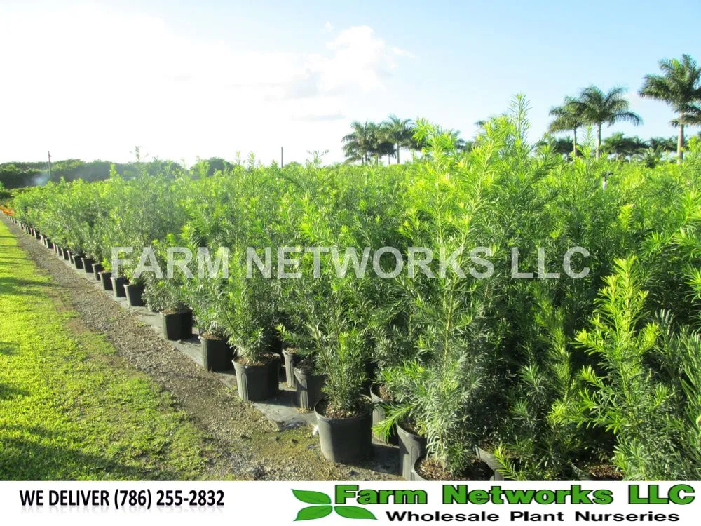 Top-rated lawn care service for residential properties across Miami, FL - Farm Networks LLC