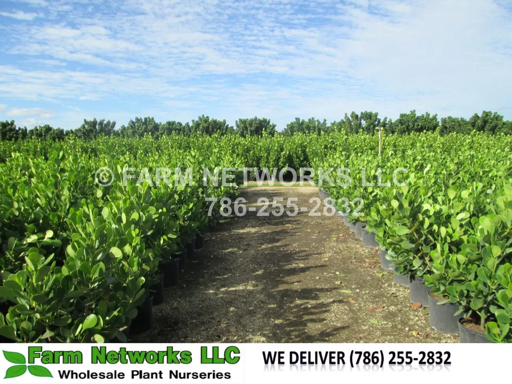 Local outdoor landscaping near you in Miami, FL by Farm Networks LLC