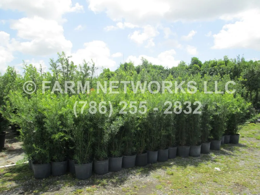 Local lawn care service in Miami, FL by Farm Networks LLC