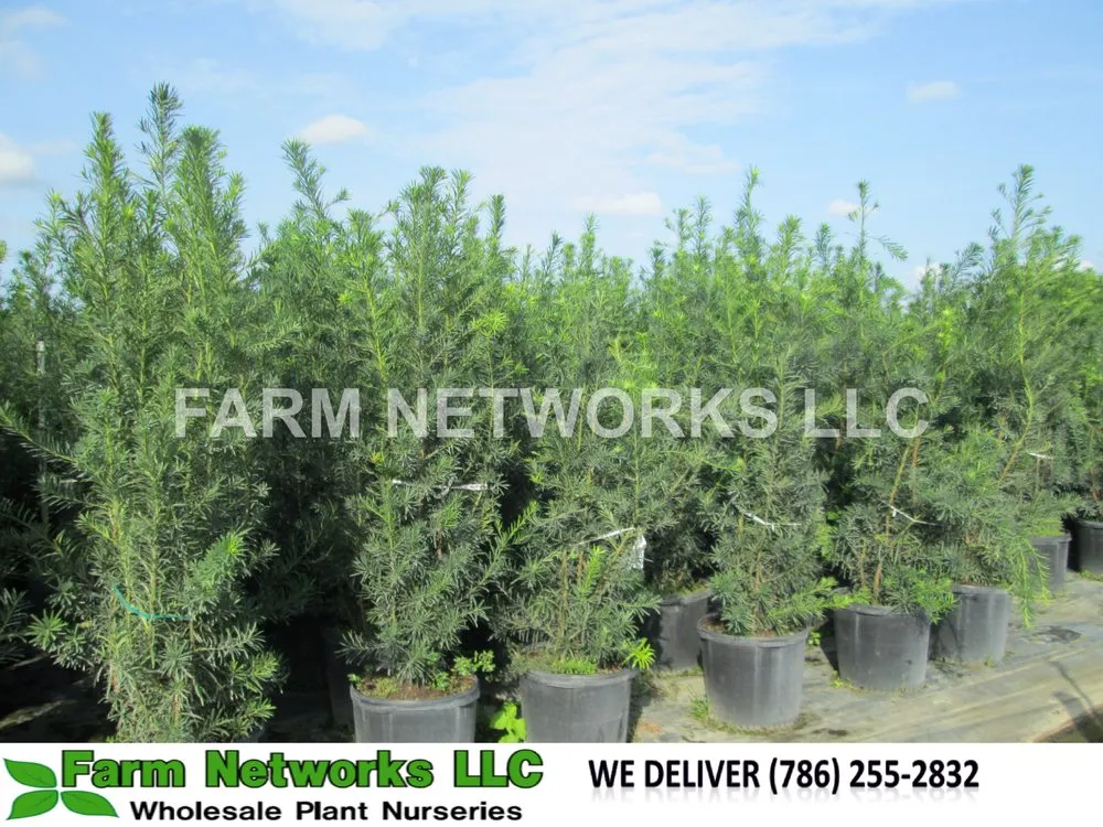 Custom landscaping services for year-round maintenance across Miami, FL - Farm Networks LLC