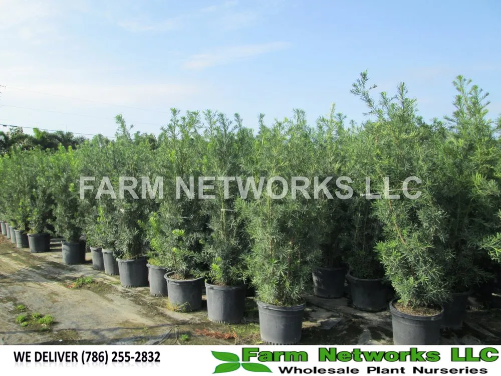 Top-rated landscaping services experts serving Miami, FL - Farm Networks LLC