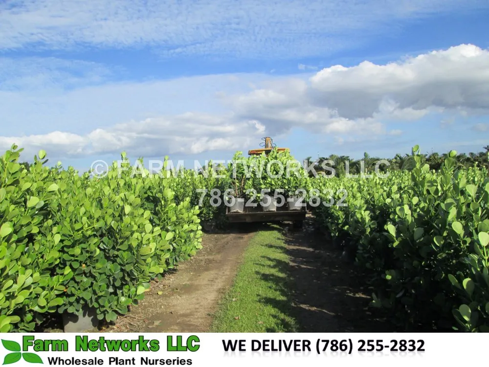 Affordable lawn care service for year-round maintenance across Miami, FL - Farm Networks LLC