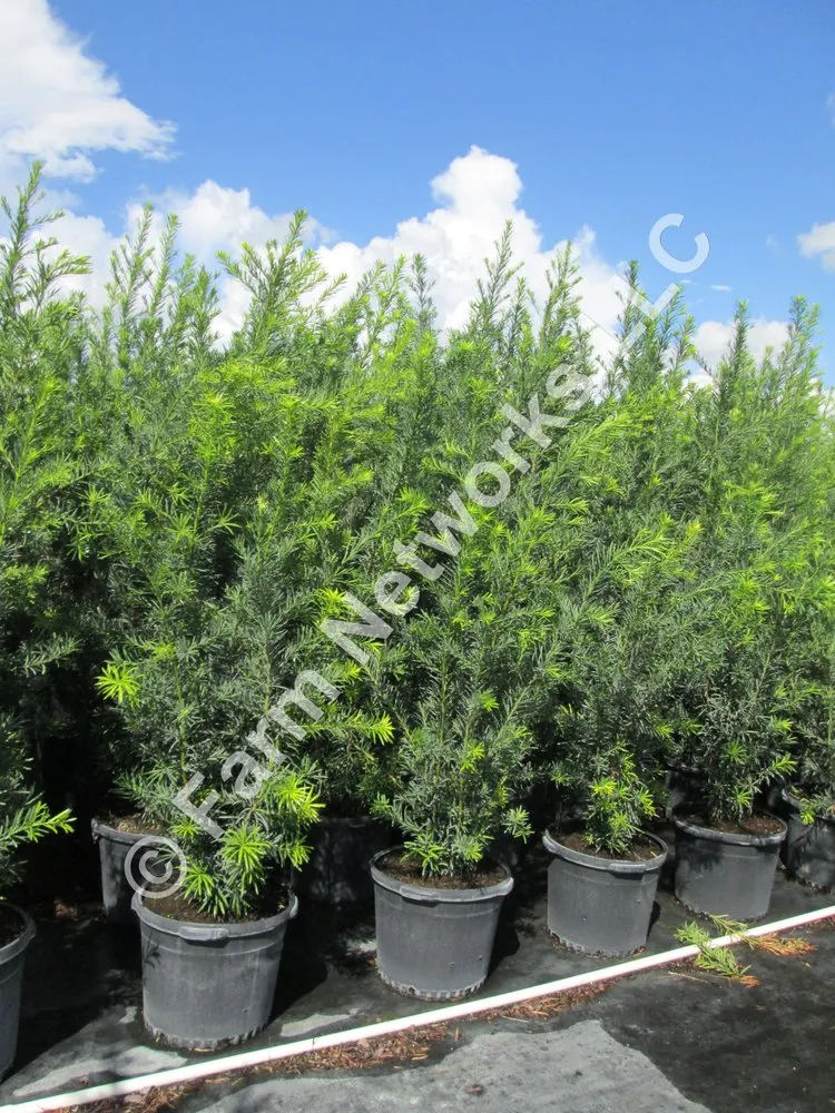 Reliable garden landscaping in Miami, FL - Farm Networks LLC