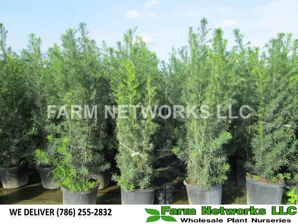 Trusted garden landscaping in Miami, FL - Farm Networks LLC