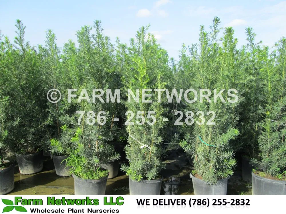 Reliable landscape installation for year-round maintenance in Miami, FL by Farm Networks LLC