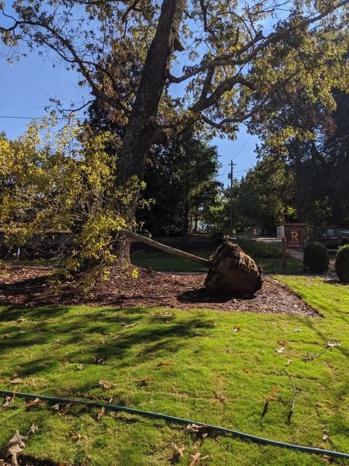 Local garden landscaping experts serving Atlanta, GA - FarmCroft