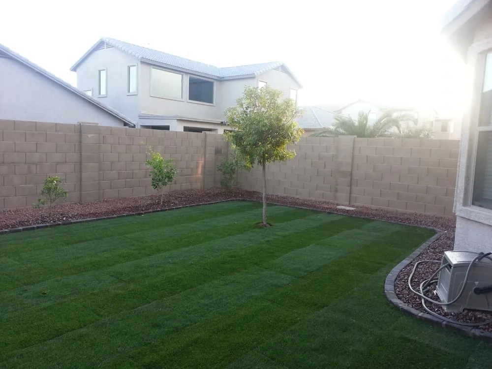 Top-rated yard cleanup service for outdoor upgrades in Maricopa, AZ by Farmer Juan