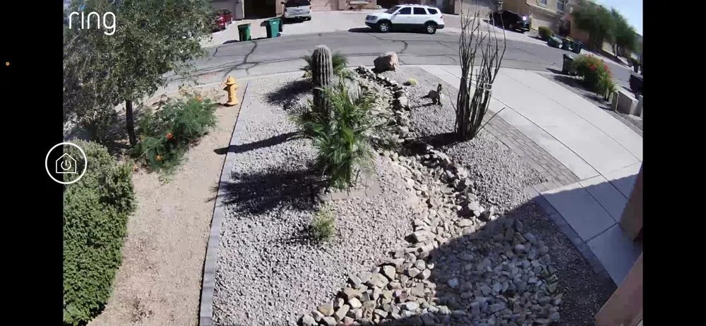 Reliable outdoor landscaping in Maricopa, AZ by Farmer Juan