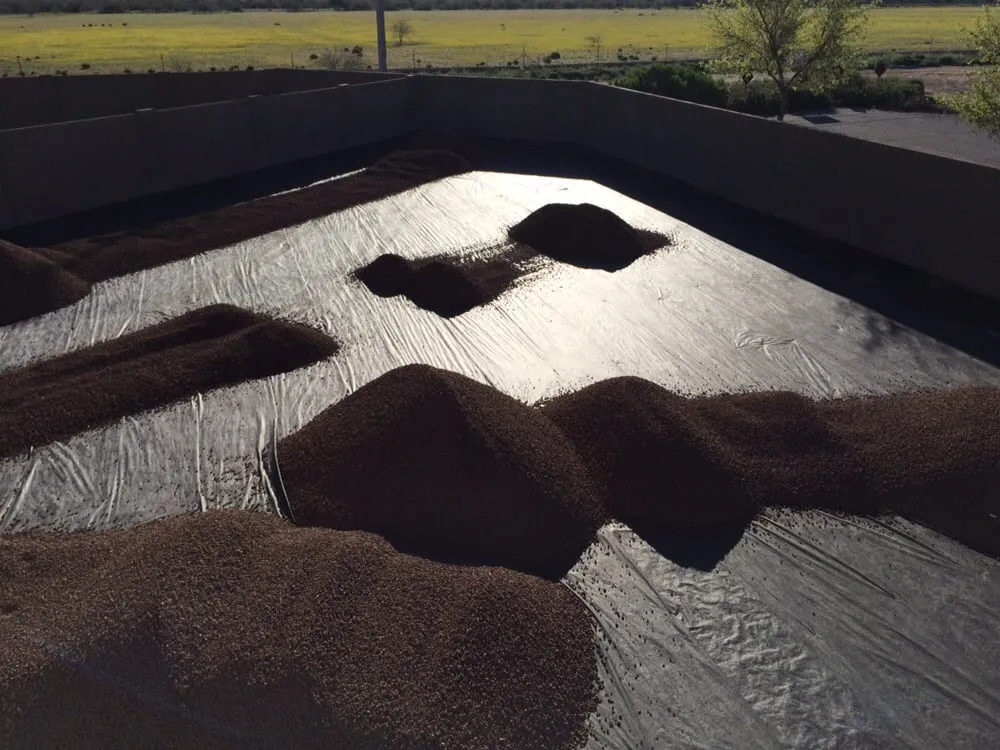 Custom yard cleanup service for residential properties across Maricopa, AZ - Farmer Juan