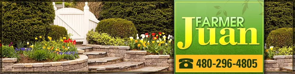 Reliable residential landscaping in Maricopa, AZ by Farmer Juan
