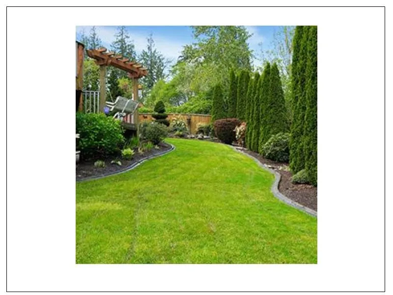 Trusted landscaping services in Maricopa, AZ by Farmer Juan